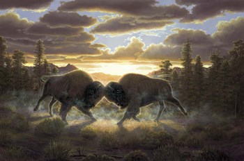 Buffalo by R.W. Hedge art print