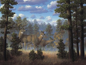 White Tail Family by R.W. Hedge art print