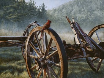 Bird&#39;s Eye View by Rusty Frentner art print