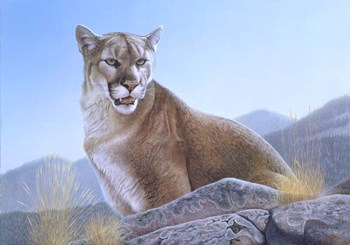 Mountain King by Rusty Frentner art print