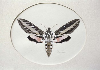 Sphinx by Rusty Frentner art print