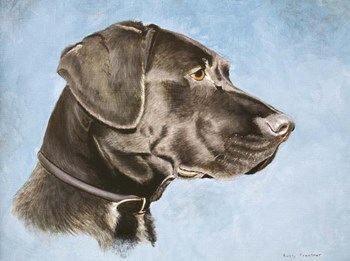 Chocolate Lab by Rusty Frentner art print