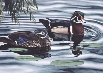 Pair of Ducks by Rusty Frentner art print