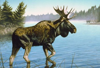 Twig Eater by Rusty Frentner art print