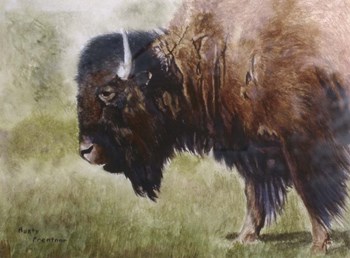 Buffalo by Rusty Frentner art print