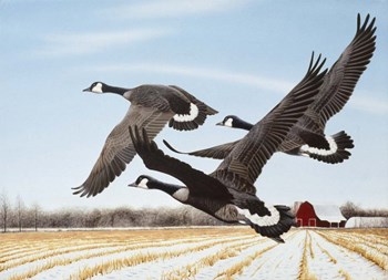 Mississippi Migrants by Rusty Frentner art print