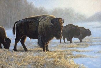 Spirit Keeper by Rusty Frentner art print