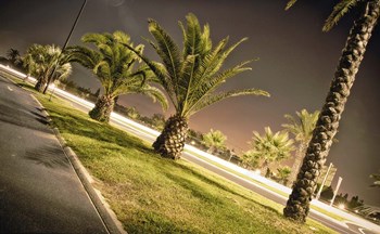 Summer Night by Sebastien Lory art print