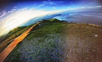 Cap Bear by Sebastien Lory art print