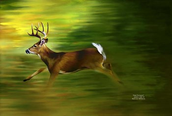 Running Deer by Spencer Williams art print