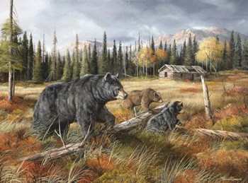 Careful Through The Meadow by Trevor V. Swanson art print