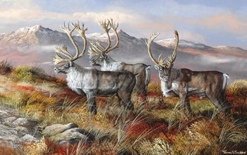 Cold Alaskan Ridge by Trevor V. Swanson art print