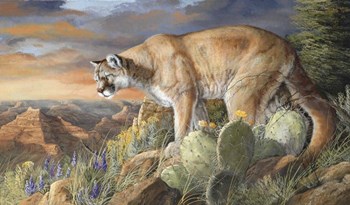 Lord Of The Canyon by Trevor V. Swanson art print