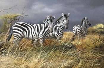 Rainy Season by Trevor V. Swanson art print