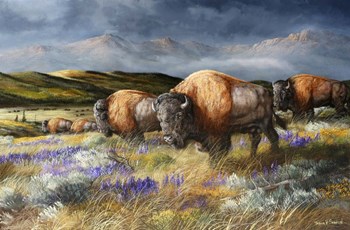 Spring Storm&#39;s Passing by Trevor V. Swanson art print