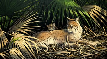 Sunny Spot Bobcat with Kittens by Wilhelm J. Goebel art print