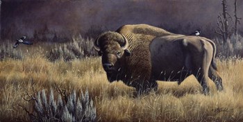Bison And Magpies by Wilhelm J. Goebel art print