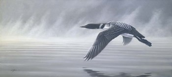 Misty Flight by Wilhelm J. Goebel art print