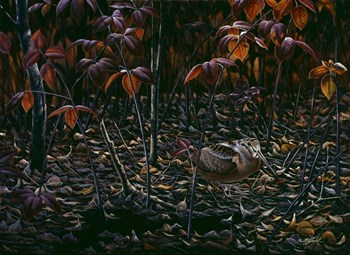 The Woodcocks World by Wilhelm J. Goebel art print