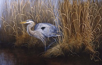 Set In Gold - Great Blue Heron by Wilhelm J. Goebel art print