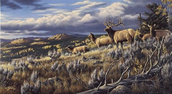 King Of The Hill - Elk by Wilhelm J. Goebel art print