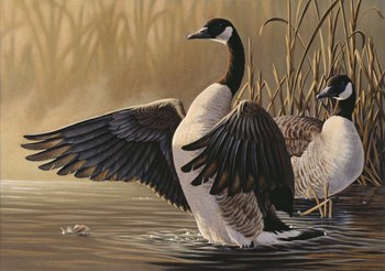 1994 Canada Geese by Wilhelm J. Goebel art print
