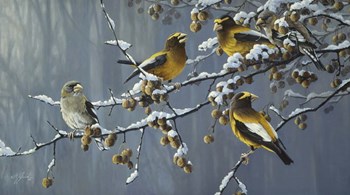 Winter&#39;s Treat by Wilhelm J. Goebel art print