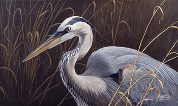 Great Blue Heron by Wilhelm J. Goebel art print