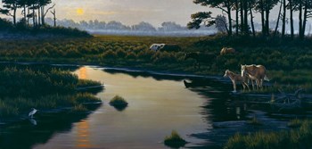 Assateague Sunset by Wilhelm J. Goebel art print