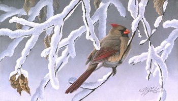 Winter Lady - Cardinal by Wilhelm J. Goebel art print