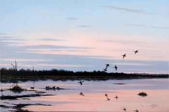 Sunset March Black Ducks by Wilhelm J. Goebel art print