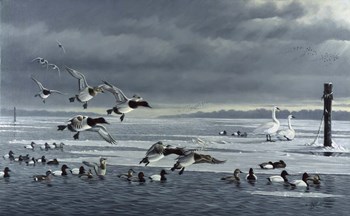Choptank Gathering by Wilhelm J. Goebel art print