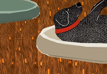 A Faux Paw by Stephen Huneck art print