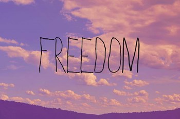 Freedom by Vintage Skies art print