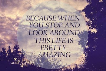 Pretty Amazing by Vintage Skies art print