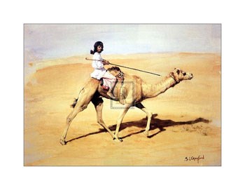 Bedouin Rider with Racing Camel (Le) by Susan Crawford art print