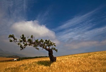 Malaga Province, Andalusia, Spain by Panoramic Images art print