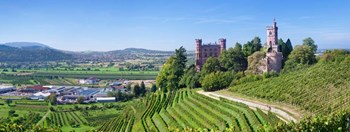 Ortenberg Castle, Offenburg, Black Forest, Baden-Wurttemberg, Germany by Panoramic Images art print