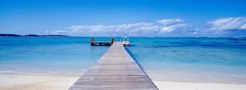 Jetty on the beach, Mauritius by Panoramic Images art print