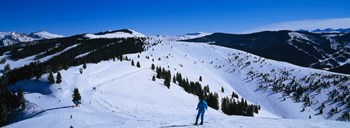 Vail Ski Resort, Colorado by Panoramic Images art print