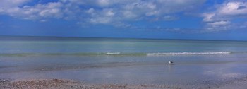 Crescent Beach, Gulf Of Mexico, Florida by Panoramic Images art print