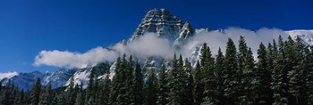 Jasper National Park, Canadian Rockies by Panoramic Images art print