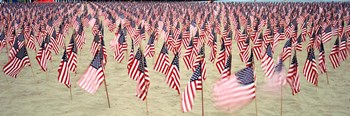 9/11 Tribute Flags, Pepperdine University, Malibu, California by Panoramic Images art print