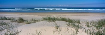 Frasier Island Beach, Australia by Panoramic Images art print