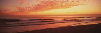 Daytona Beach, Florida by Panoramic Images art print