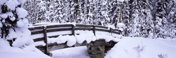Snowy Bridge in Banff National Park, Alberta, Canada by Panoramic Images art print