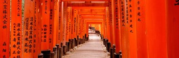 Tunnel of Torii Gates, Fushimi Inari Shrine, Japan by Panoramic Images art print