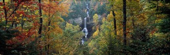 Raven Cliff Falls, Sumter National Forest, Greenville County, South Carolina by Panoramic Images art print