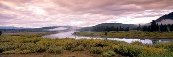 Yellowstone Park, Snake River, Wyoming by Panoramic Images art print