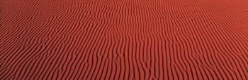 Coral Pink Sand,UT by Panoramic Images art print